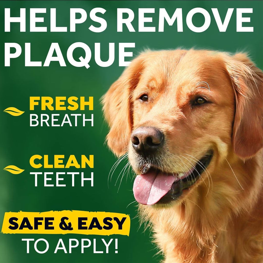Picture describing how tropiclean Brushing Gel works. 