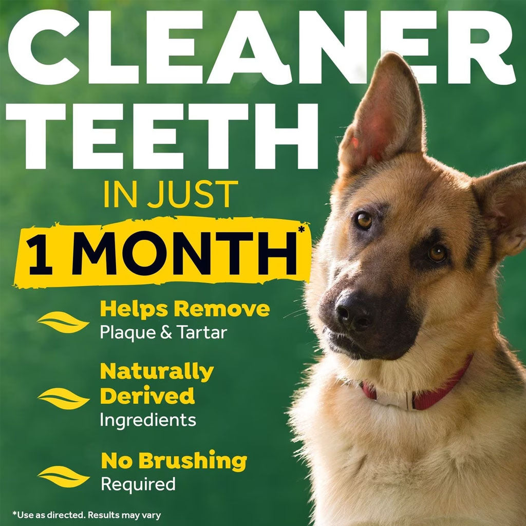 Picture showing one month results for tropiclean brushing tooth gel.