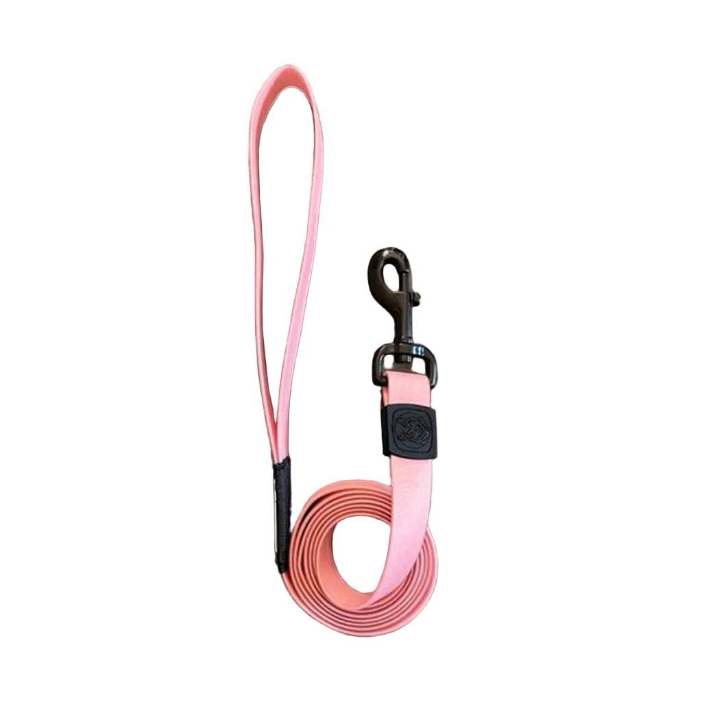 Guava Waterproof Leash 