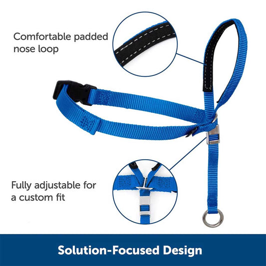 Blue PetSafe Gentle Leader headcollar feature graphic highlighting the padded nose loop and adjustable straps for a custom fit.