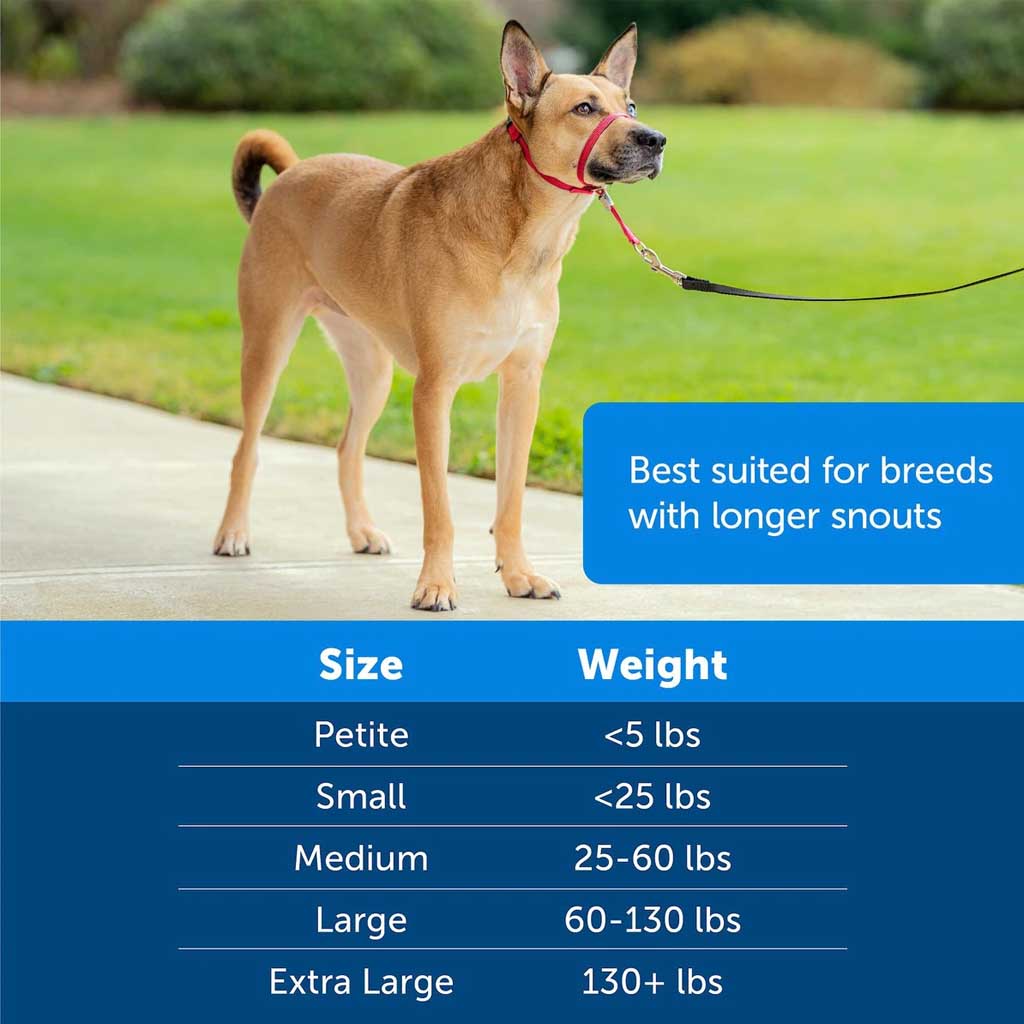 Gentle Leader Headcollar size and weight instructions. 