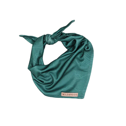 Evergreen Topo Bandana