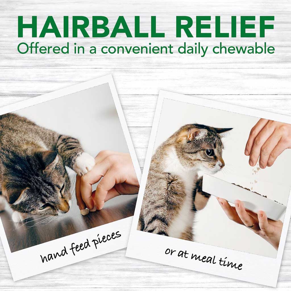 Hairball Relief Digestive Aid Chews instructions for use.