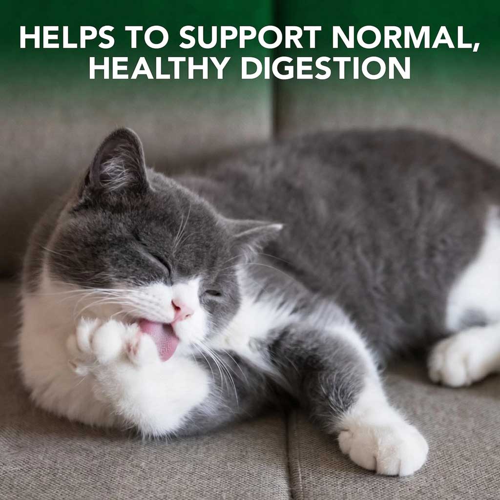 Supports normal healthy digestion.