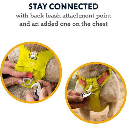 Hi & Light Harness multiple attachment points.