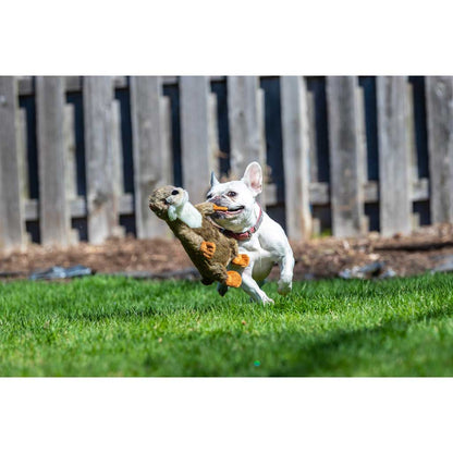 Dog playing with Harry the Otter Plush Toy