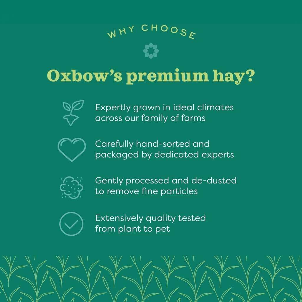 Quality hay grown in ideal climates and extensively quality tested.