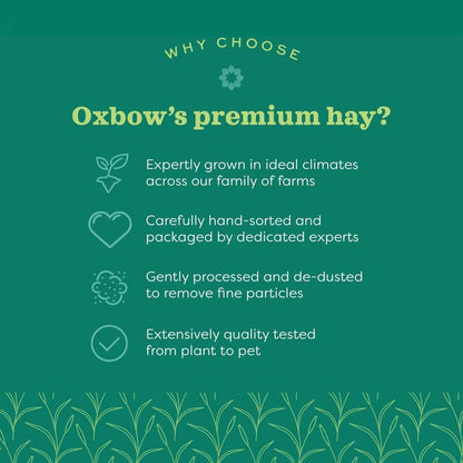 Quality hay grown in ideal climates and extensively quality tested.