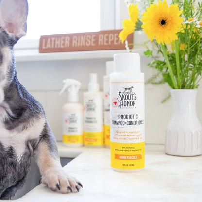 Dog being bathed with Honeysuckle Probiotic Shampoo + Conditioner 