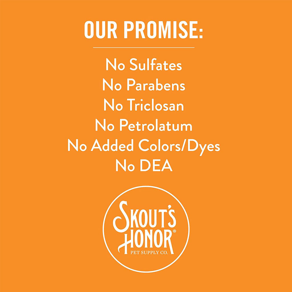 Skouts Honor promise.