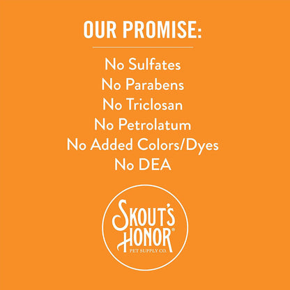 Skouts Honor promise.