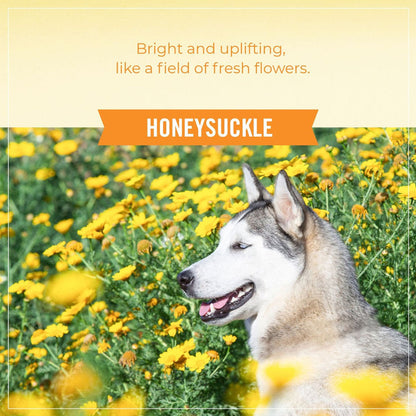 Bright and uplifting scent. 