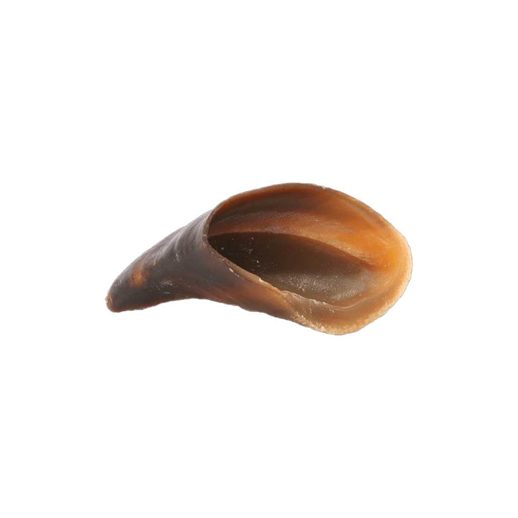 Cow Hoof Dog Chew