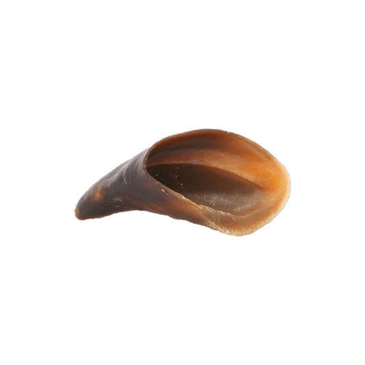 Cow Hoof Dog Chew