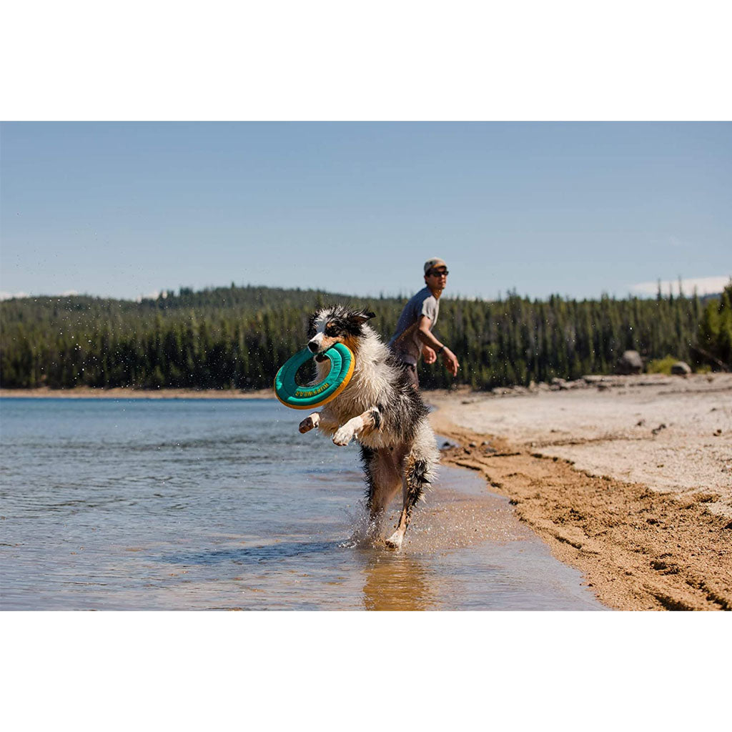 Dog catching Hydro Plane Fetch Tug Float
