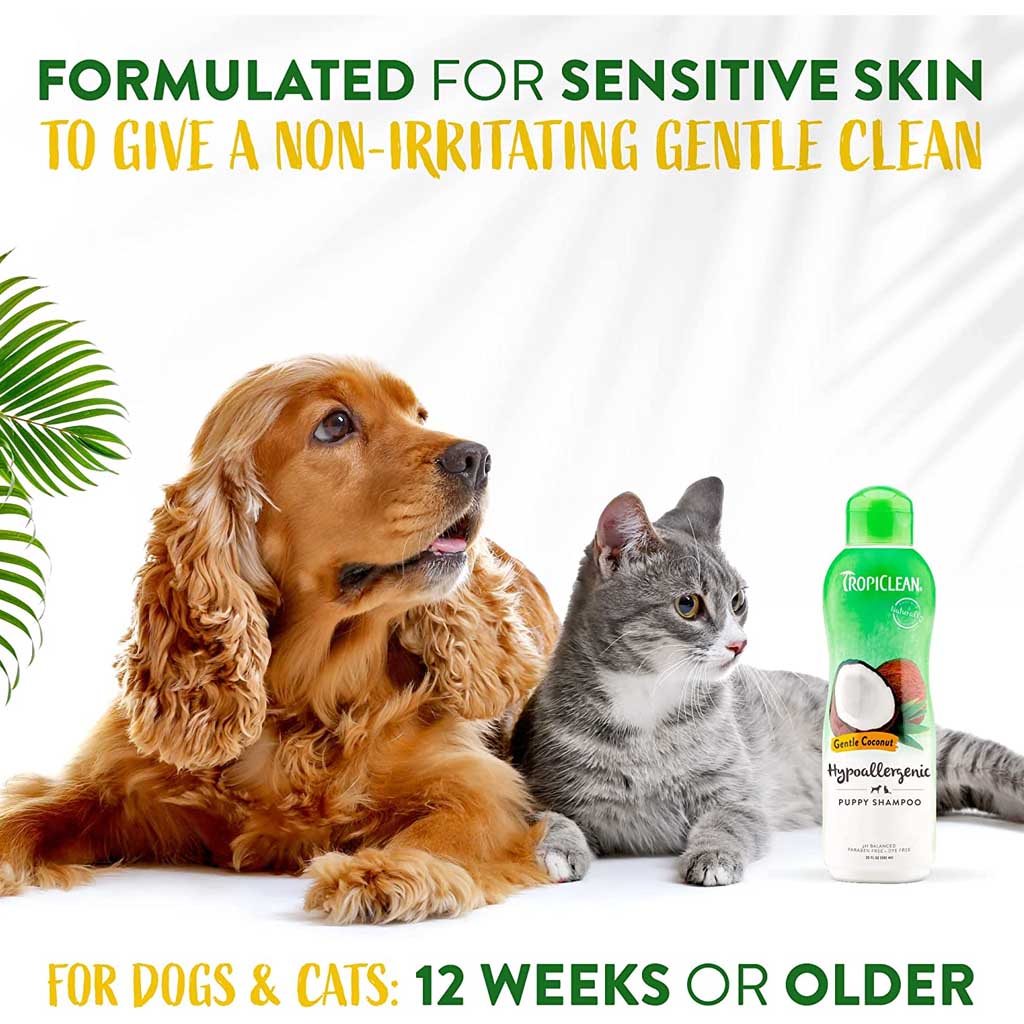 Gentle Coconut Hypoallergenic & Puppy Shampoo gentle on skin. 