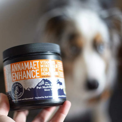 Dog staring at Annamaet Enhance Raw & Home Cook Meal Dog Vitamin & Mineral Supplement 8.5oz