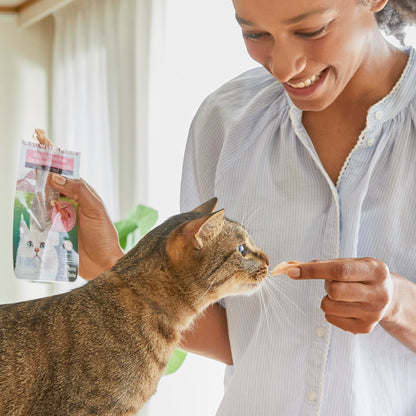 Person feeding an Inaba Grilled Fillet treat to a cat by hand