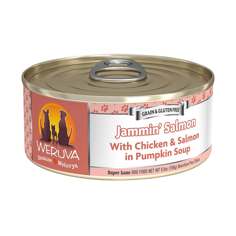 Jammin' Salmon with Chicken & Salmon in Pumpkin Soup Canned Food for Dogs
