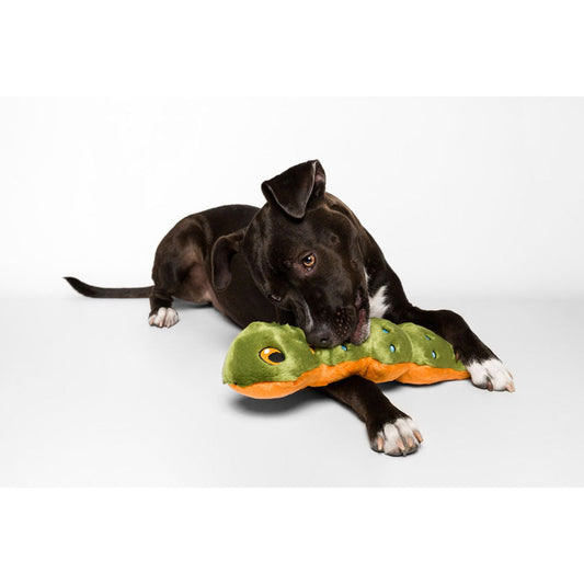 Dog playing with Katie Caterpillar Plush Toy