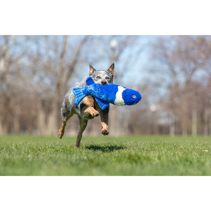 Dog playing with Gil Koi Fish Plush Toy