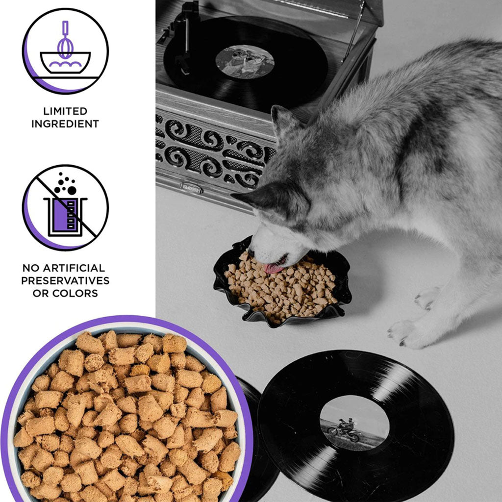 Husky eating BIXBI RAWBBLE Lamb Recipe from a bowl, with a close-up of freeze-dried pieces and limited-ingredient and no artificial preservatives or colors callouts.
