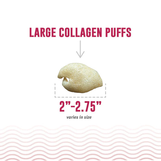 Icelandic+ large collagen puff size guide showing a puff measuring 2 to 2.75 inches