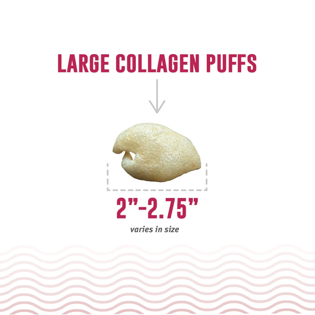 Icelandic+ large collagen puff size guide showing a puff measuring 2 to 2.75 inches
