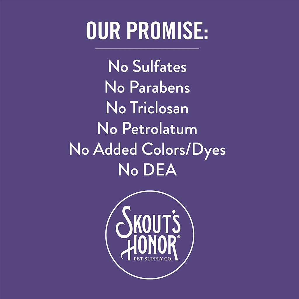 Skouts Honor Promise