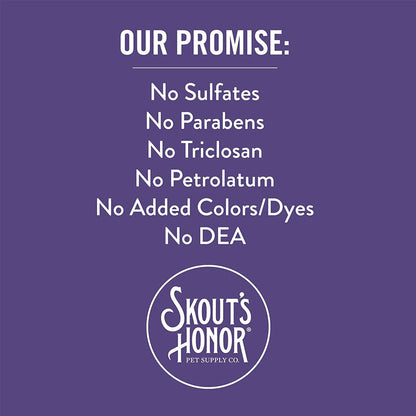 Skouts Honor Promise