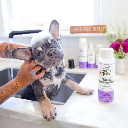 Dog being bathed with Skouts Honor Shampoo
