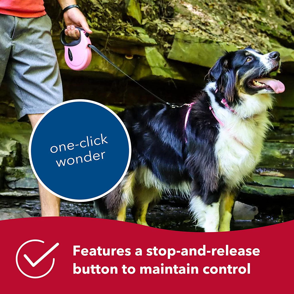 Person holding a pink Power Walker retractable leash beside a dog outdoors; graphic highlights the stop-and-release control button.