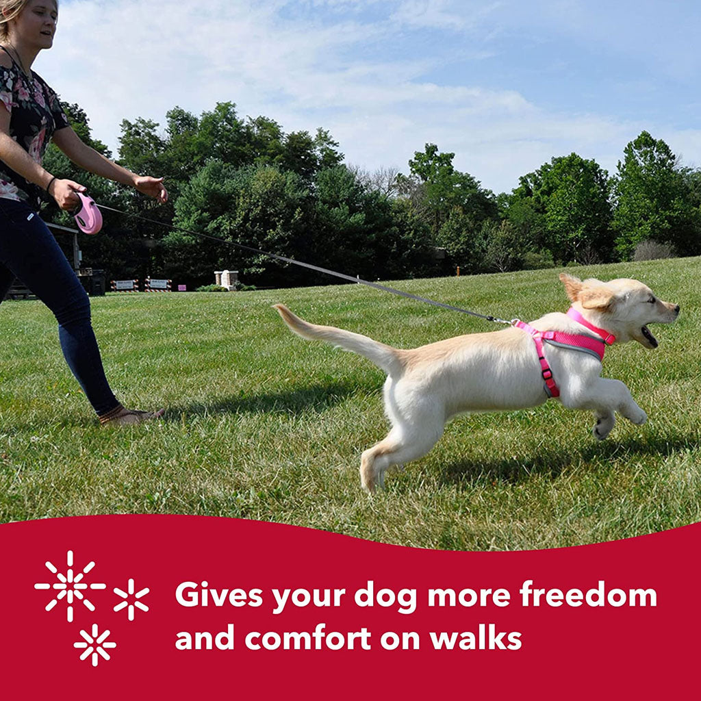 Light-colored dog in a pink harness running on grass with a pink Power Walker retractable leash; graphic highlights freedom and comfort on walks.