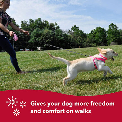 Light-colored dog in a pink harness running on grass with a pink Power Walker retractable leash; graphic highlights freedom and comfort on walks.