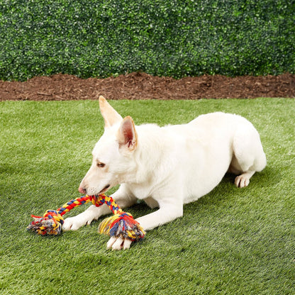 White dog holding a multicolor Mammoth three-knot rope toy while lying on grass.