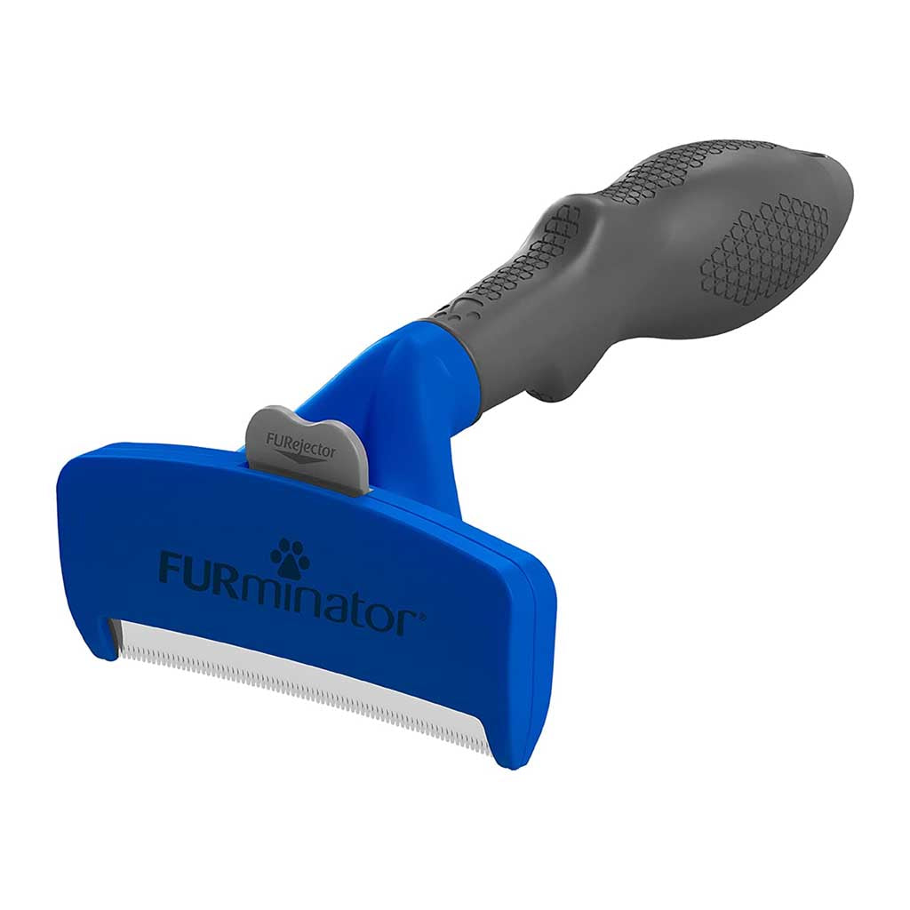 Blue FURminator dog deShedding tool with a wide stainless steel edge, gray handle and FURejector button