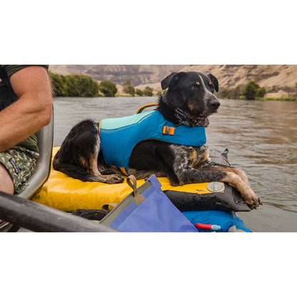 Dog wearing Float Coat Life Jacket blue dusk. 