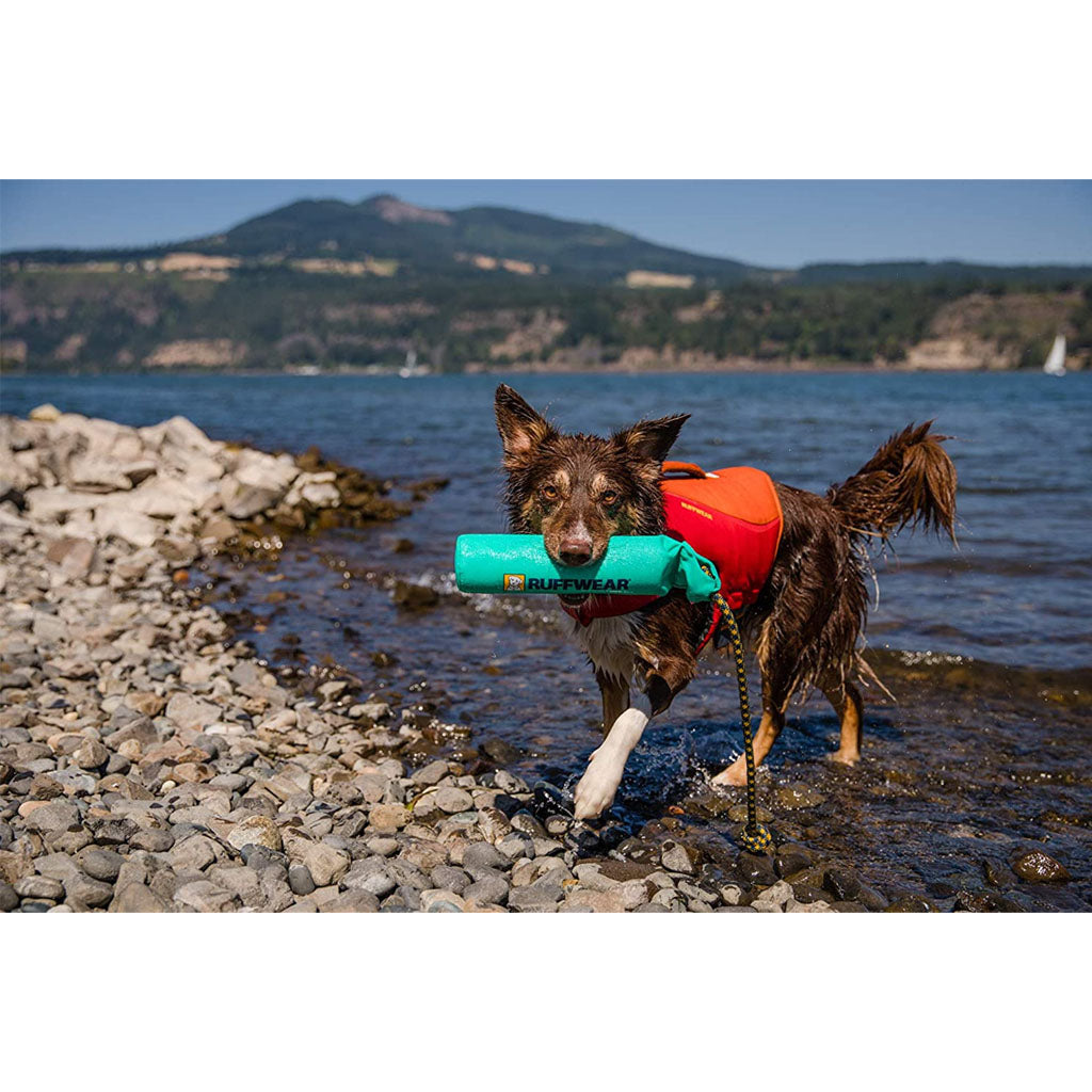 Dog playing with Lunker Fling Launch Float