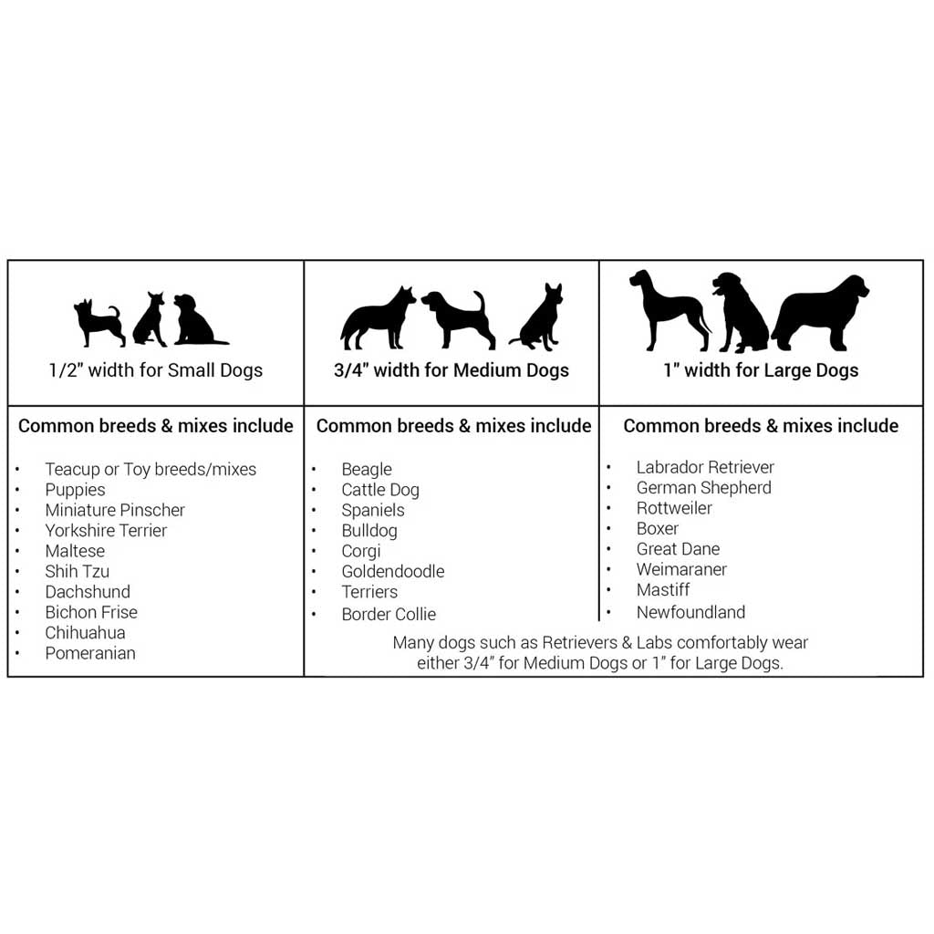 Black Collar size guide for dogs.
