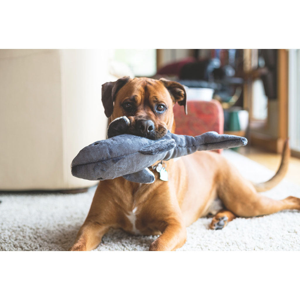 Mac the Shark Plush Toy