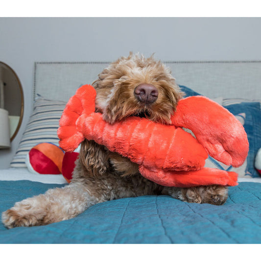 Dog playing with Manny Lobster Plush Toy