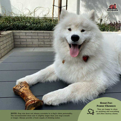 Dog with 3" Beef Meaty Bone