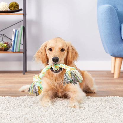 Golden retriever holding a green, yellow, and white Mammoth three-knot rope toy while lying on a rug.