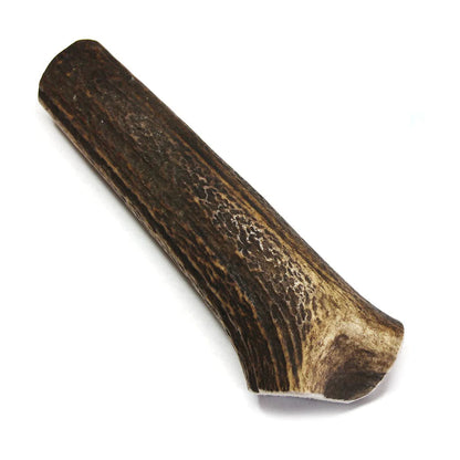 Royal Brown Whole Deer Antler