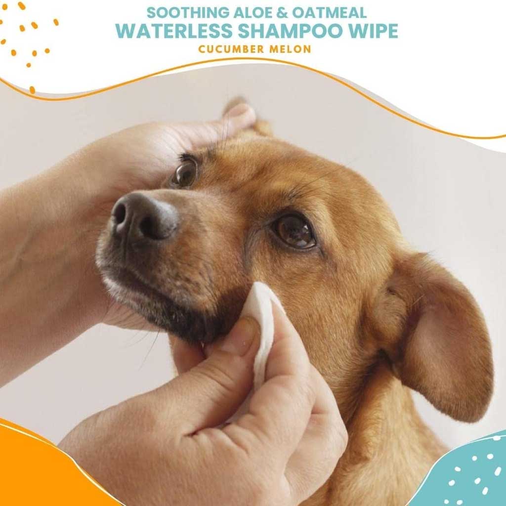 Waterless Grooming Wipes Cucumber Melon 70ct