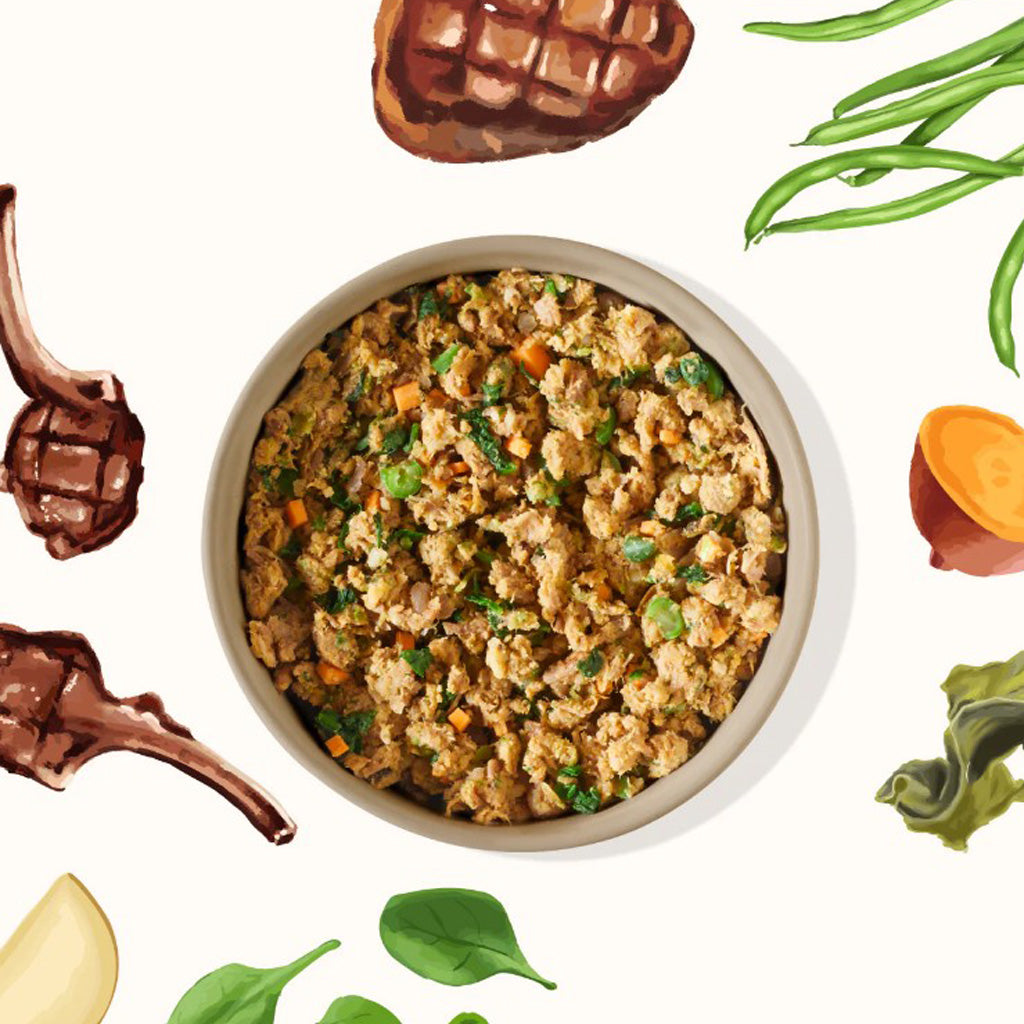 My Perfect Pet lamb and beef recipe in bowl surrounded by illustrated ingredients, including spinach leaves, green beans, sweet potato, lamb, and beef