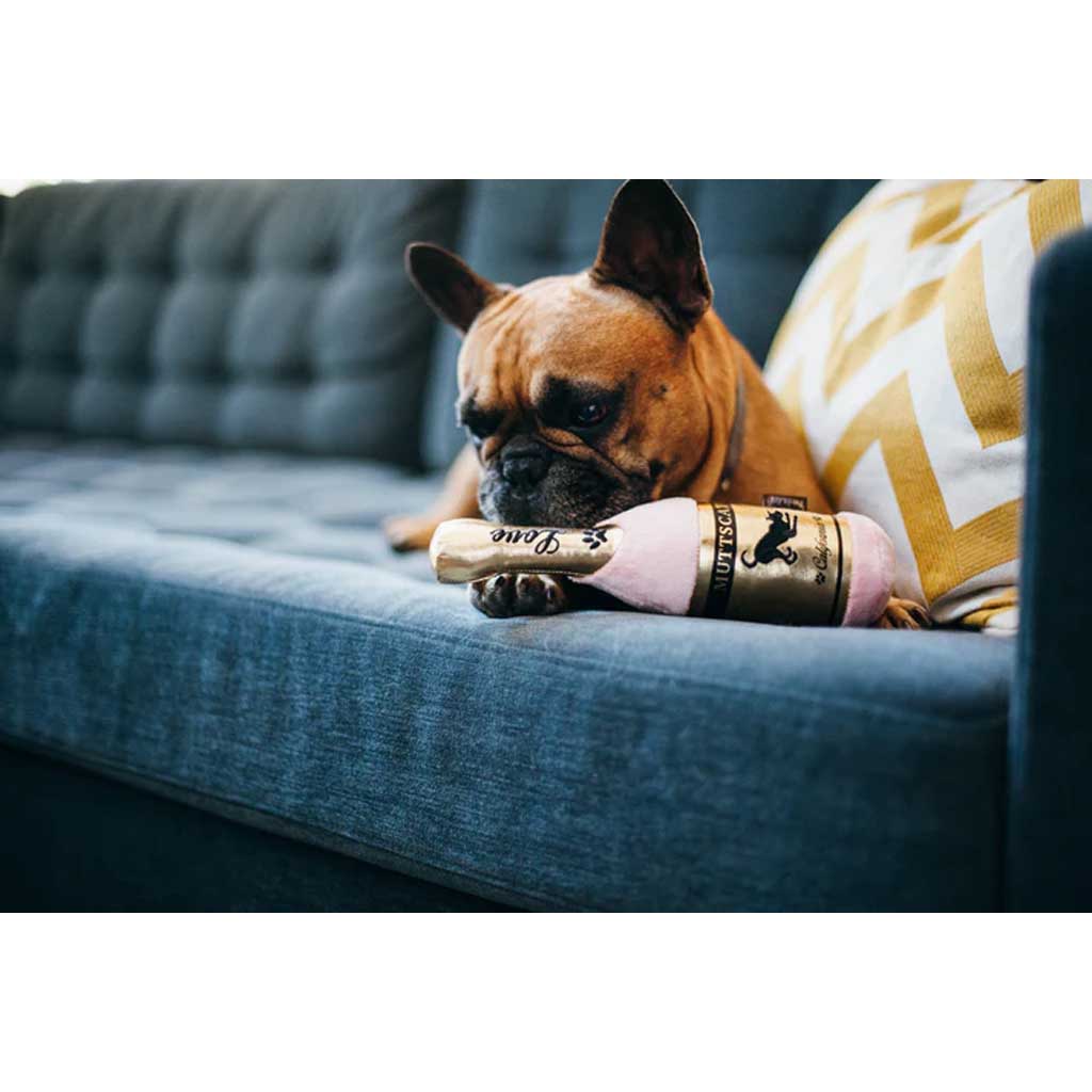 Dog chewing on Barking Bubbly Plush Toy 