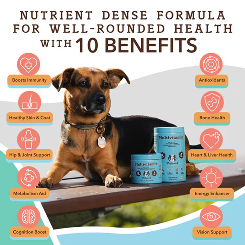 Multivitamin Supplement 90ct