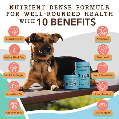Multivitamin Supplement 90ct