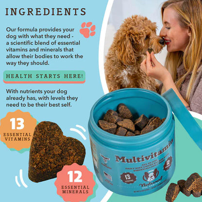 Multivitamin Supplement 90ct ingredient panel